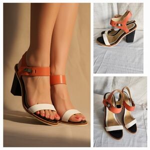 This is a Rag & Bone Arlo colorblock heels.